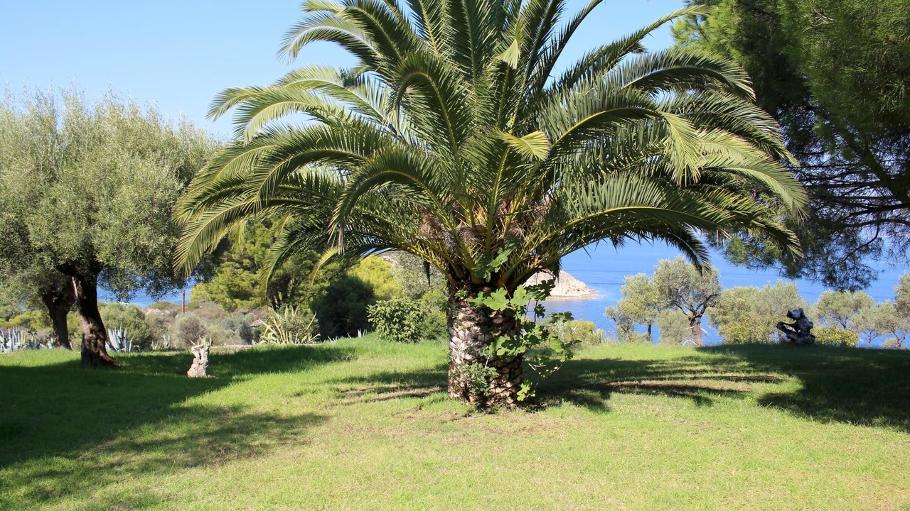 Photo of Outdoor in Sithonia