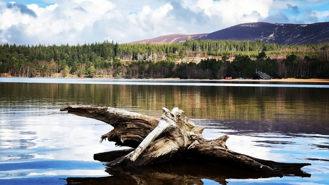Photo of Outdoor in Aviemore