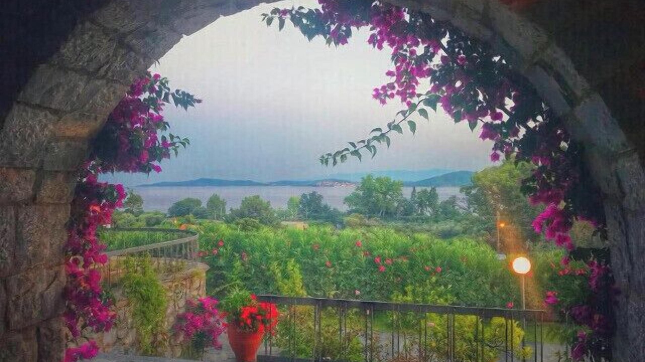 Photo of Others in Aristotelis
