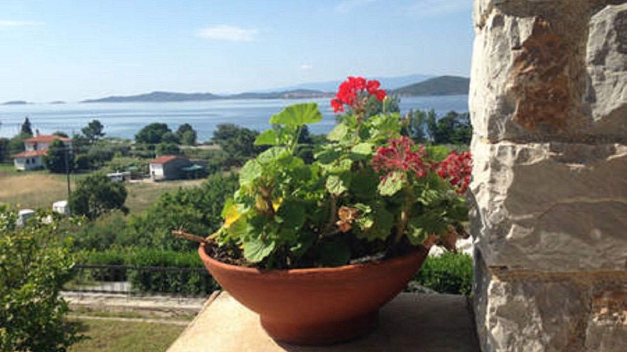 Photo of Others in Aristotelis