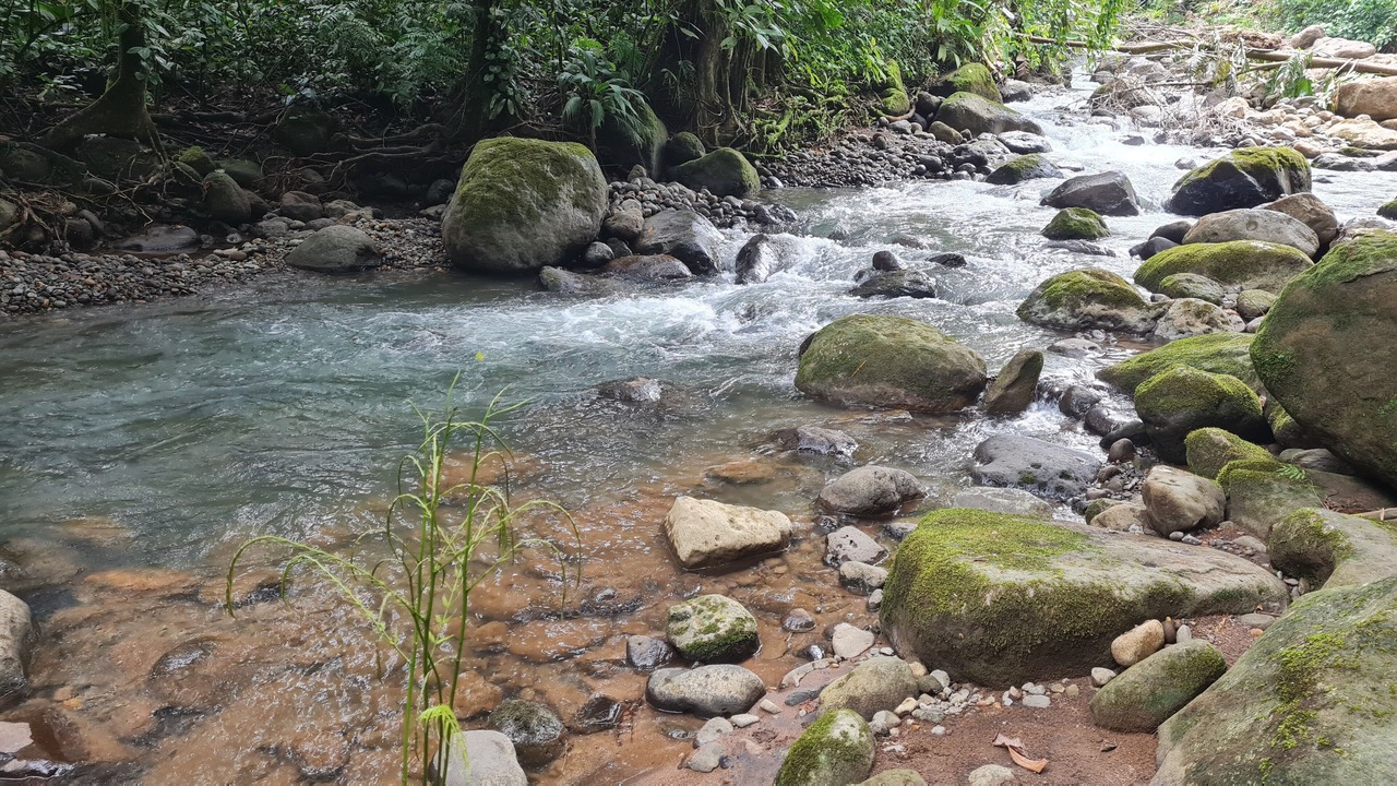 Photo of Outdoor in Penas Blancas