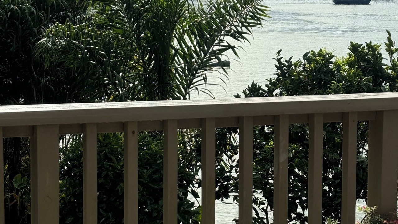 Photo of Outdoor in Opua