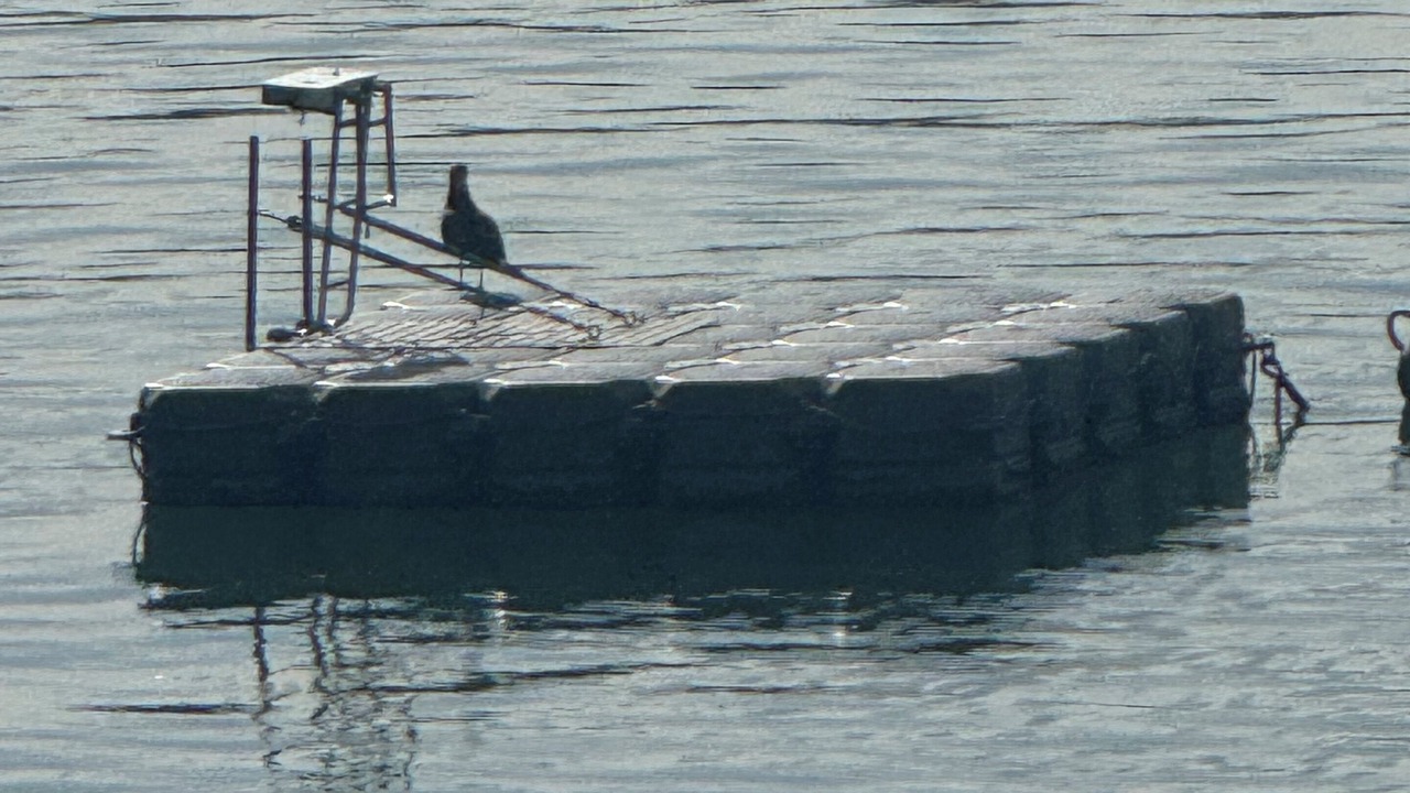 Photo of Outdoor in Opua