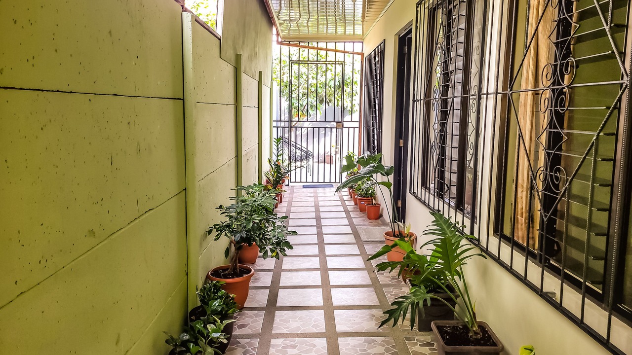 Photo of Others in Barrio Dora
