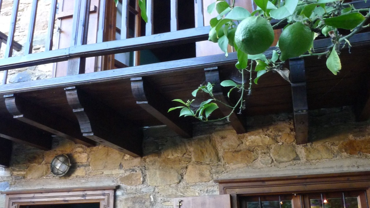 Photo of Outdoor in Skopelos