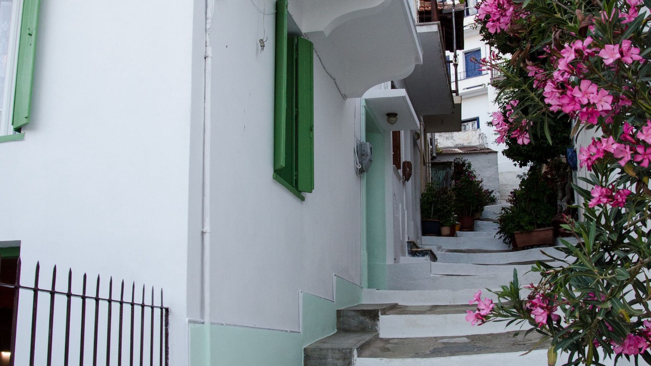 Photo of Others in Skopelos
