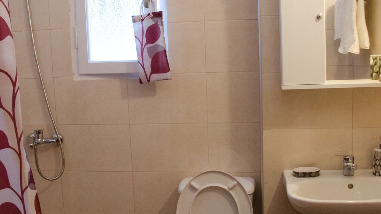 Photo of Bathroom in Skopelos