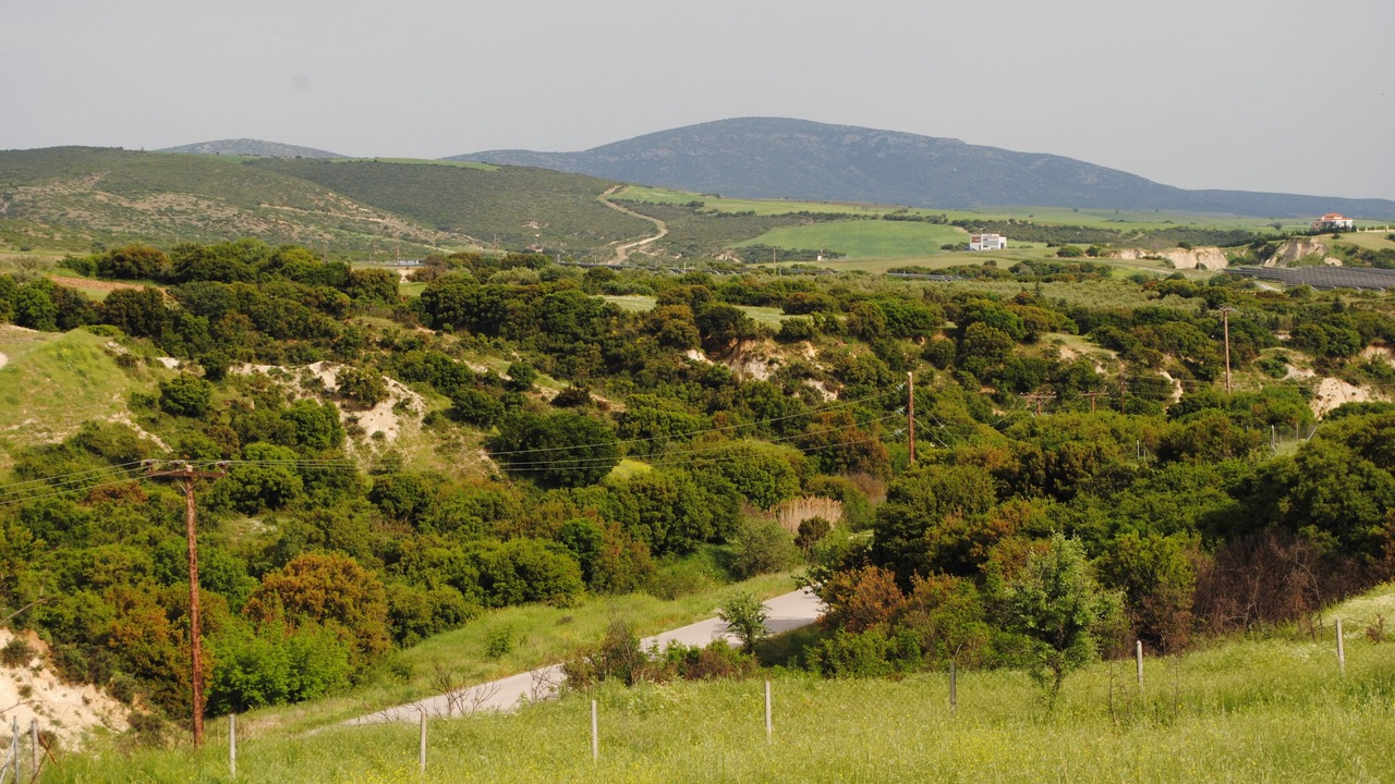 Photo of Outdoor in Thermi