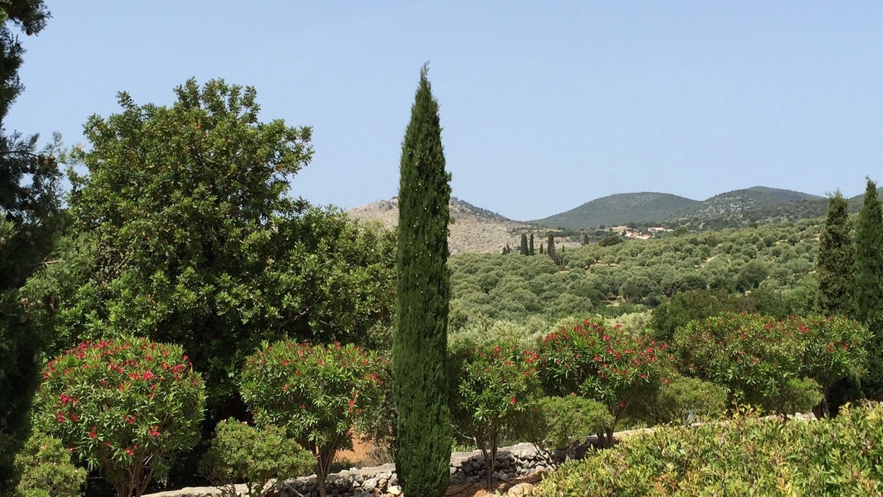 Photo of Others in Leivathos