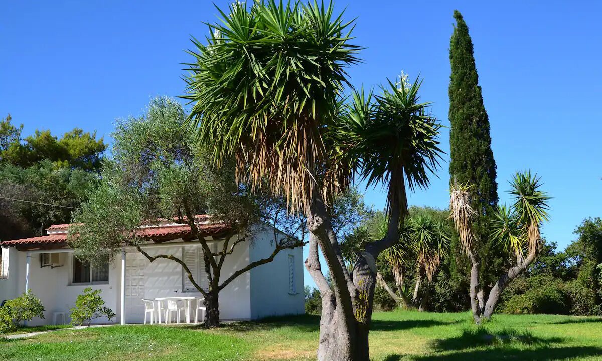 Photo of Others in Leivathos