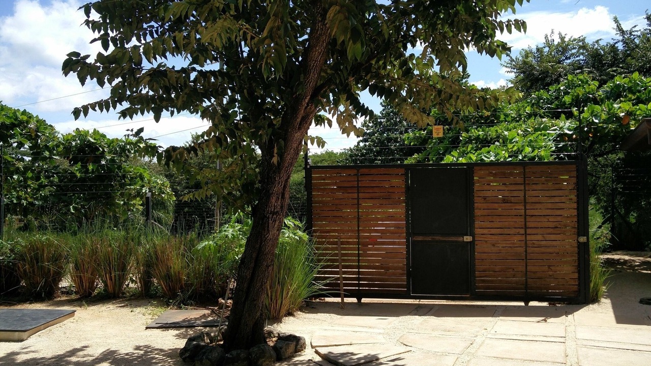 Photo of Outdoor in Avellanas Beach