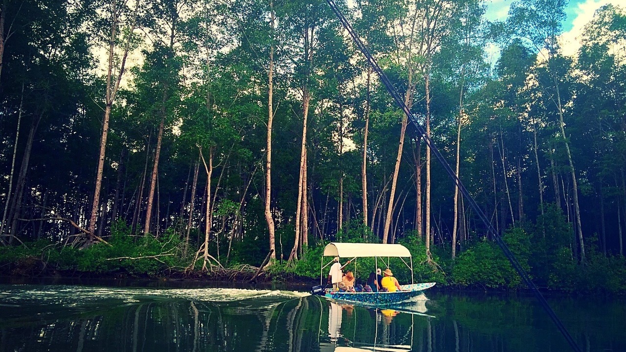 Photo of Others in Parrita