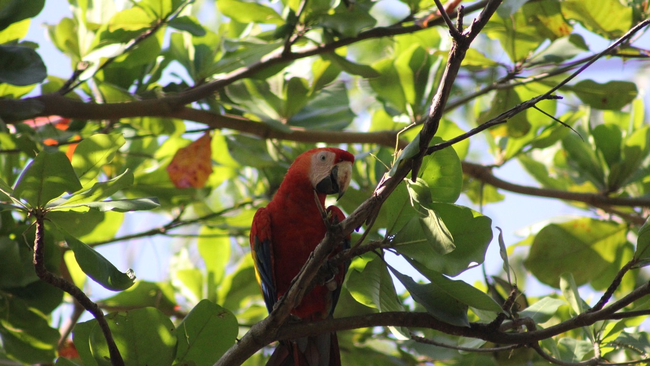 Photo of Outdoor in Parrita