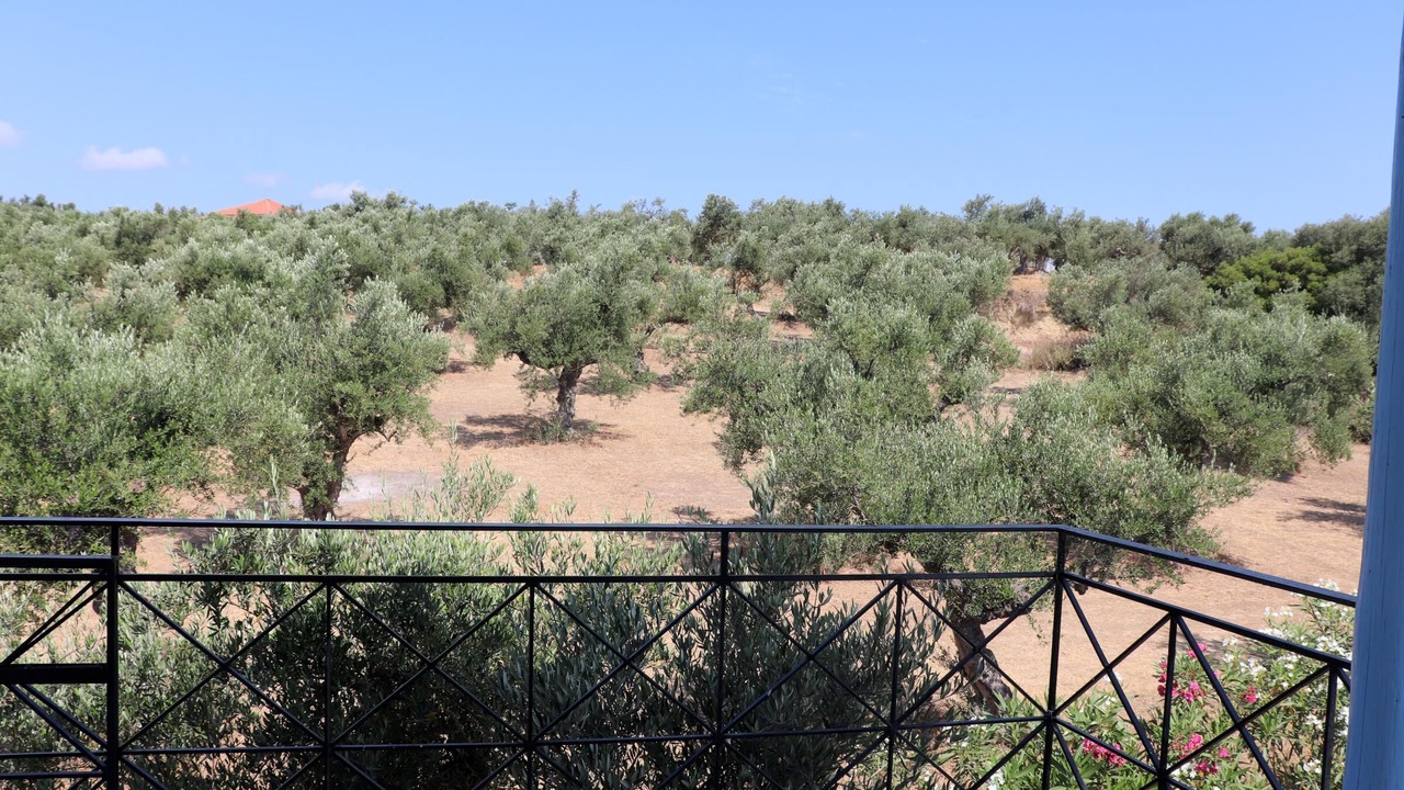 Photo of Outdoor in Kompi