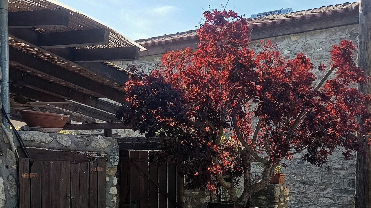 Photo of Outdoor in Vrasna