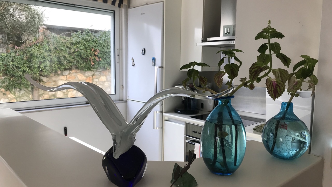 Photo of Kitchen in Marathon