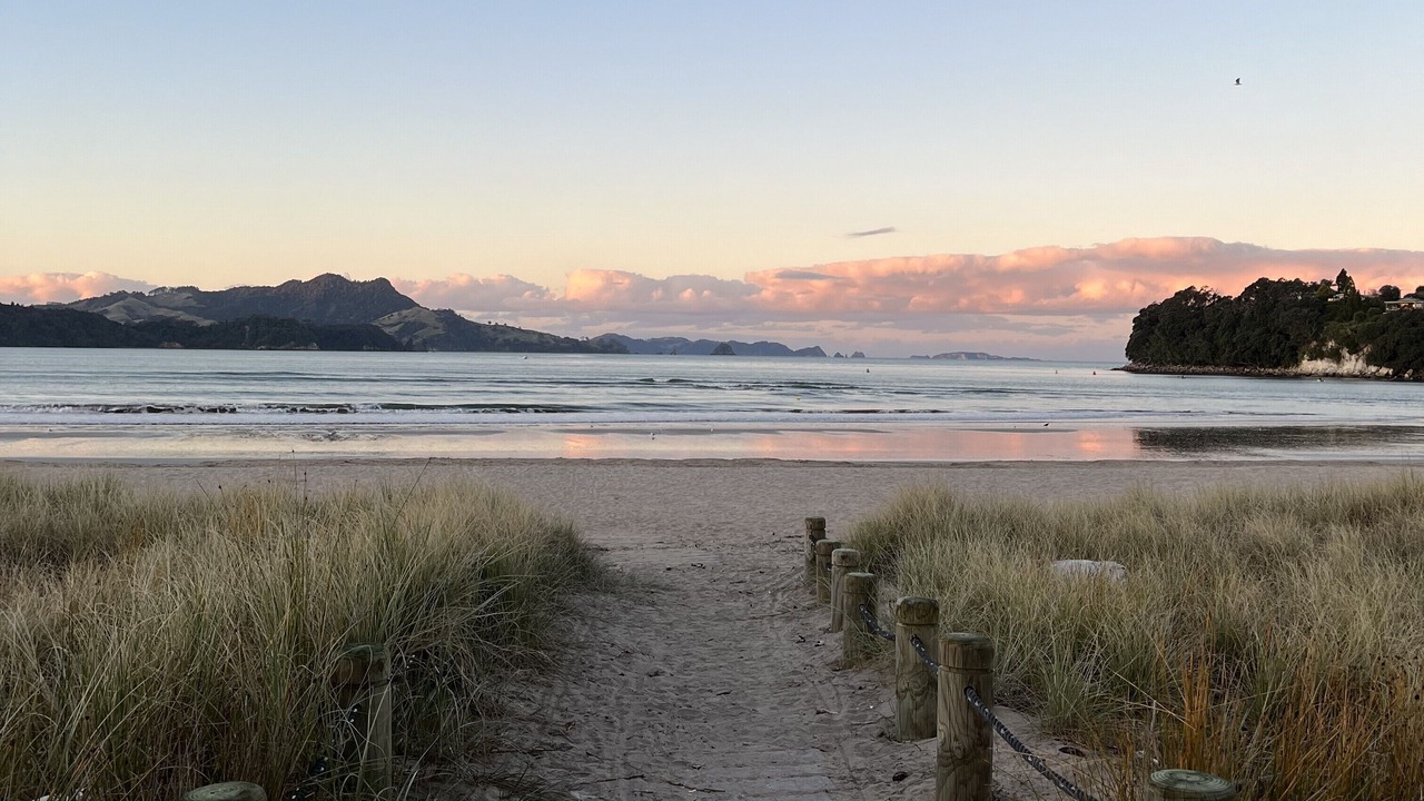 Photo of Others in Whitianga