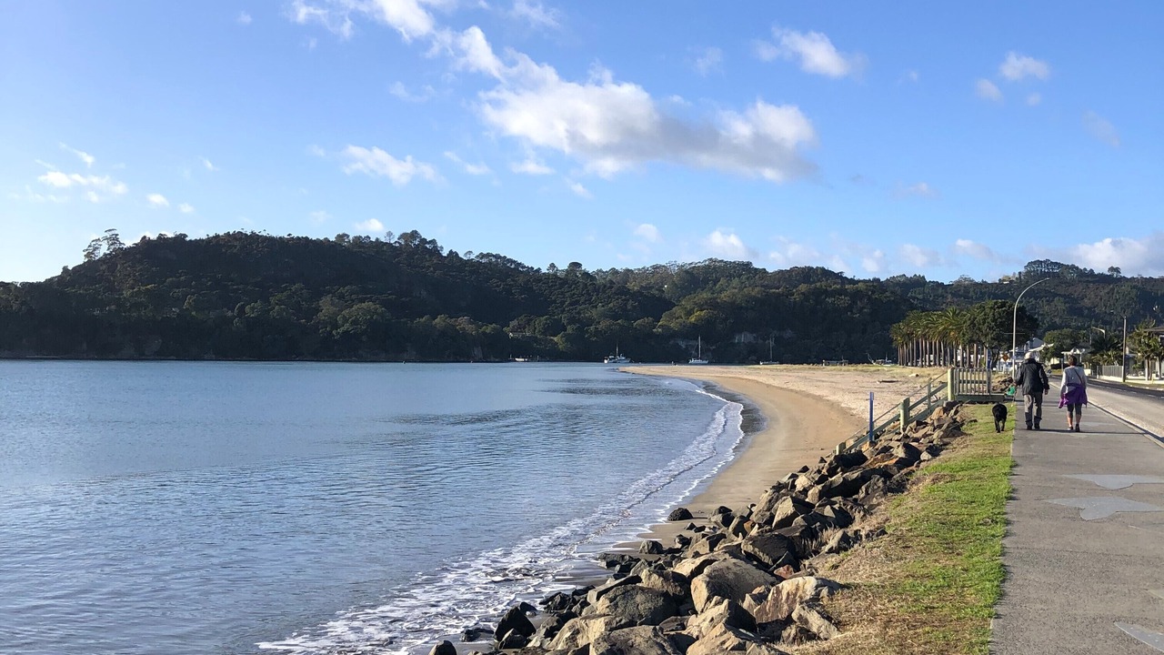 Photo of Others in Whitianga