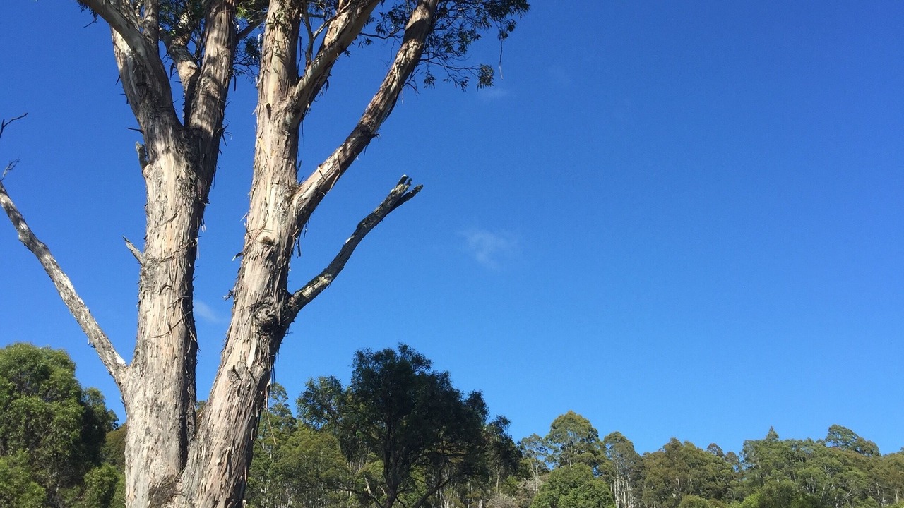Photo of Outdoor in Cradle Mountain