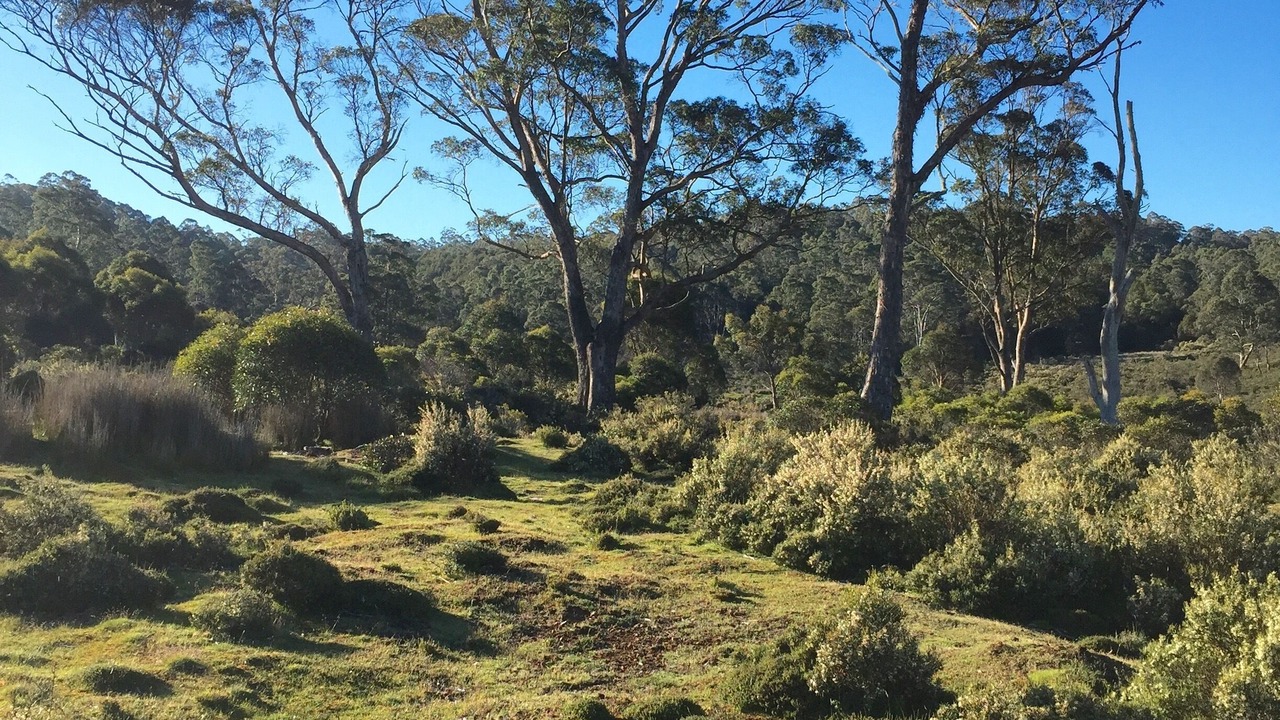 Photo of Others in Cradle Mountain