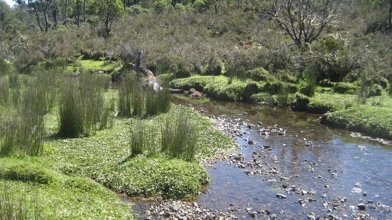 Photo of Outdoor in Cradle Mountain