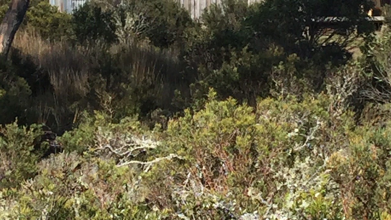 Photo of Outdoor in Cradle Mountain