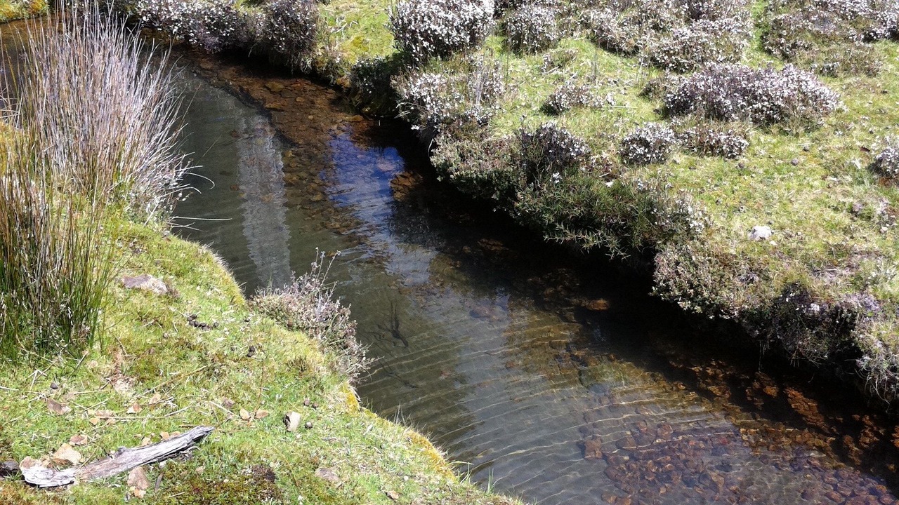 Photo of Outdoor in Cradle Mountain
