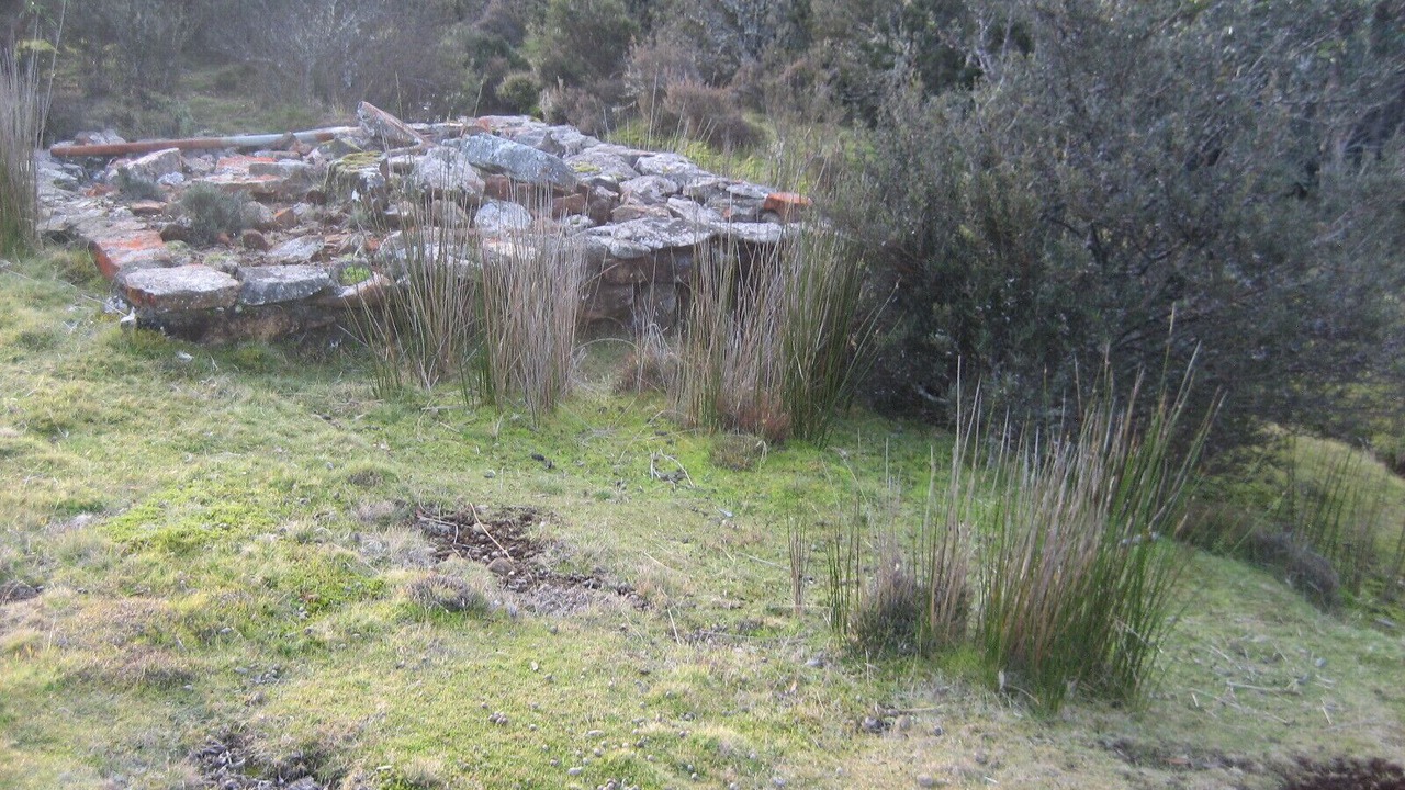 Photo of Outdoor in Cradle Mountain