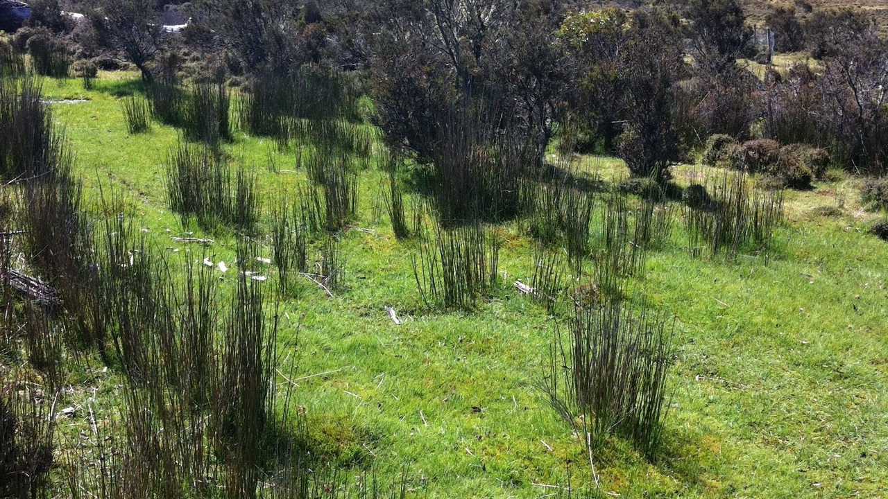 Photo of Outdoor in Cradle Mountain