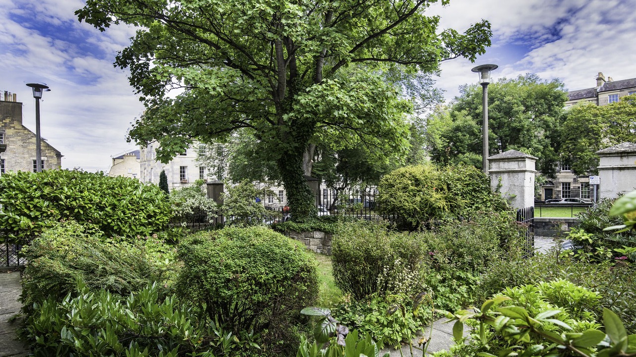 Photo of Outdoor in New Town