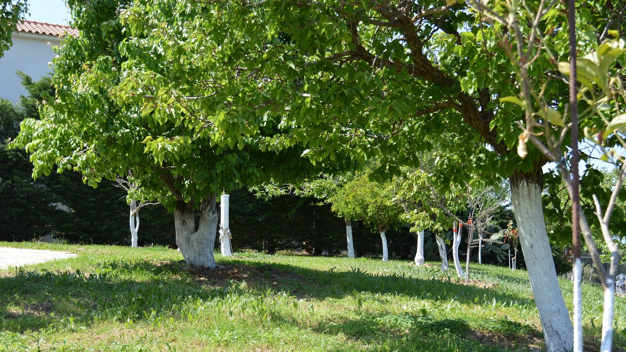 Photo of Outdoor in Kastro