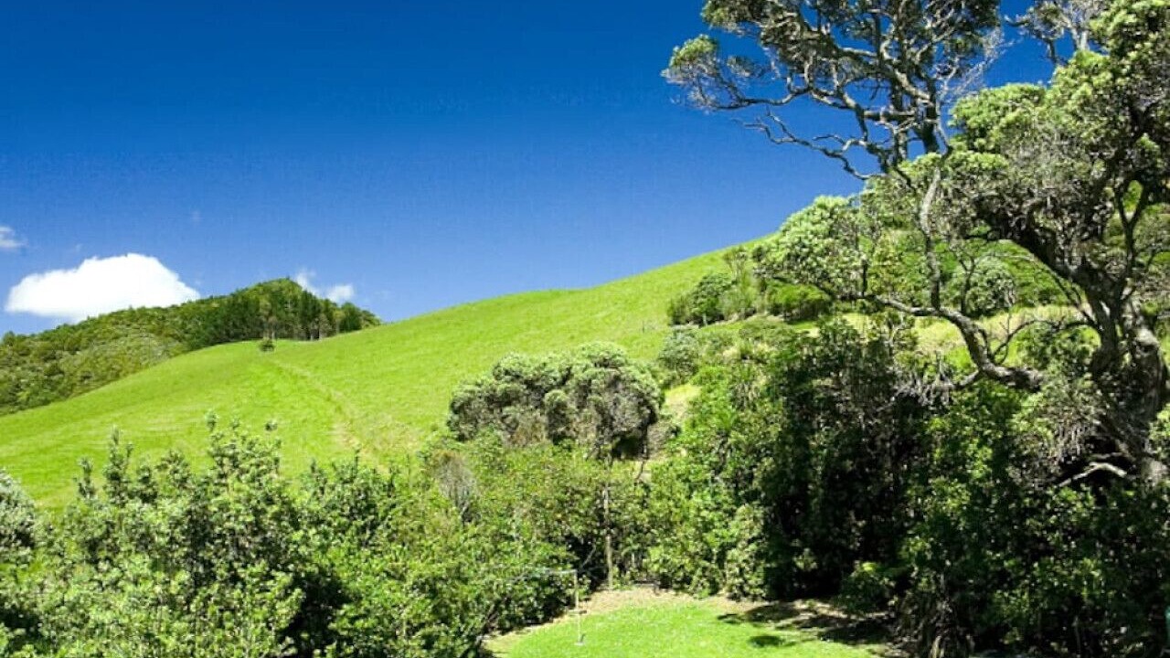 Photo of Outdoor in Matapouri