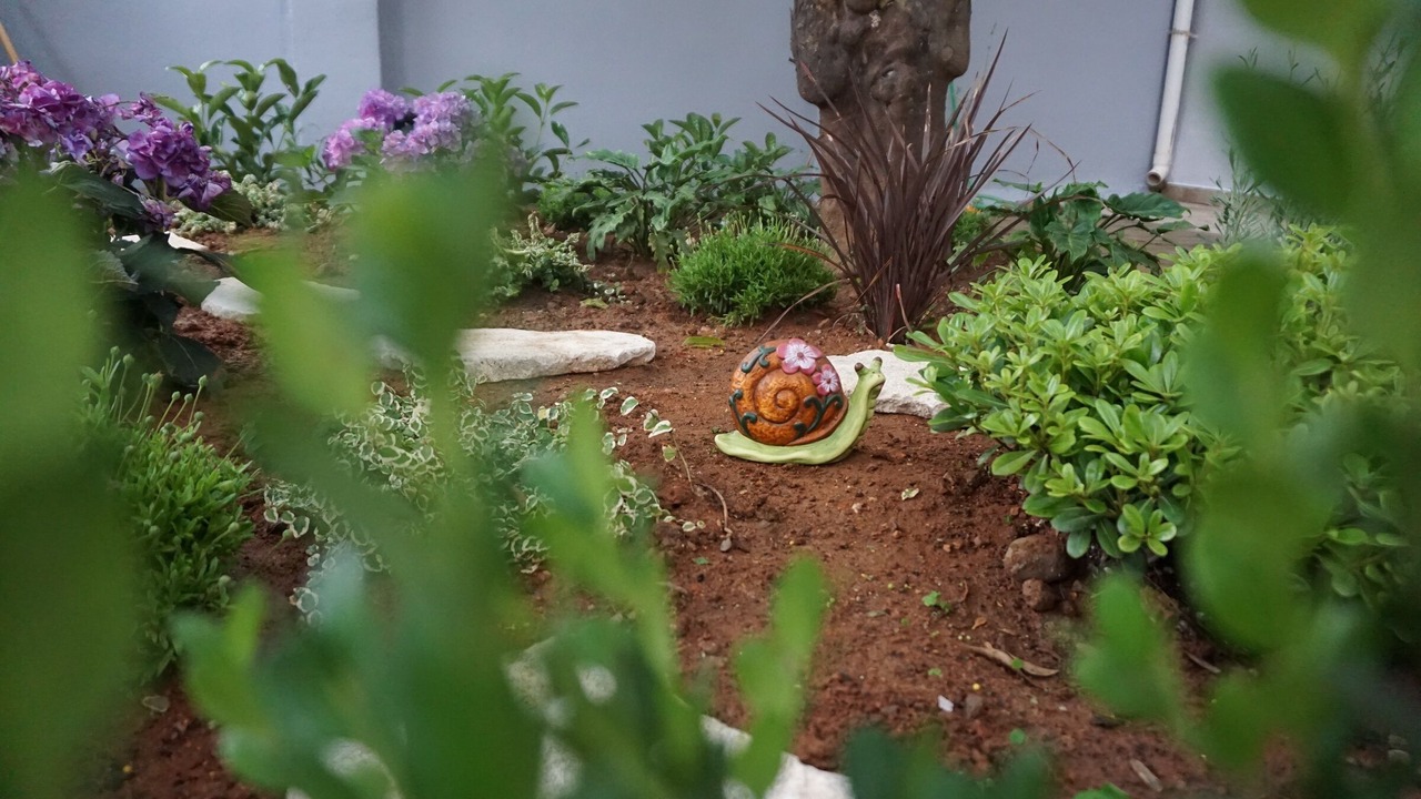 Photo of Outdoor in Kalamata