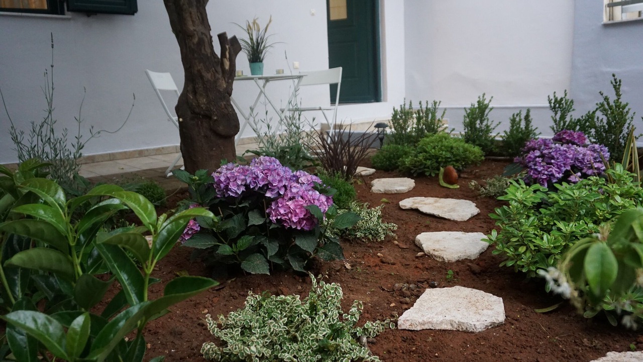 Photo of Outdoor in Kalamata