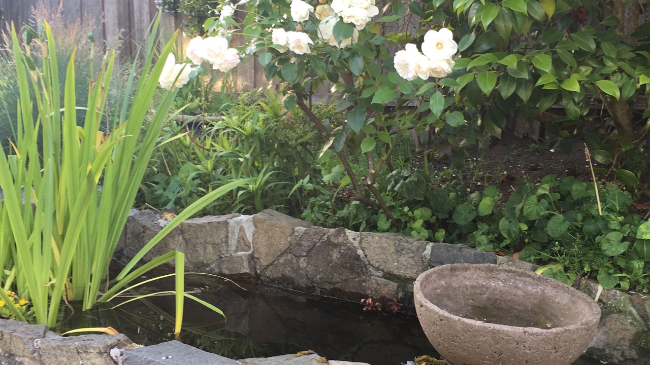 Photo of Outdoor in Cygnet