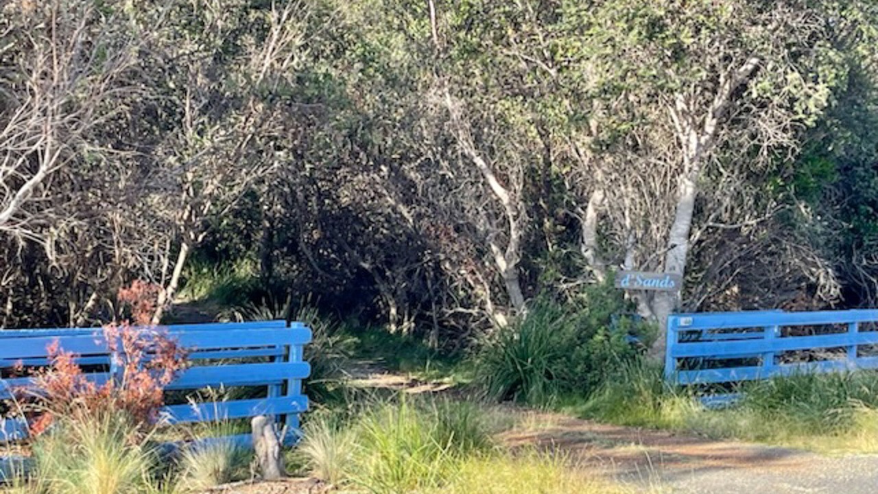 Photo of Outdoor in Dolphin Sands