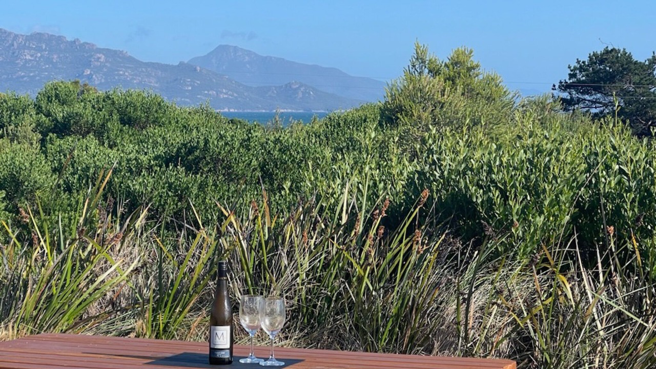 Photo of Outdoor in Dolphin Sands
