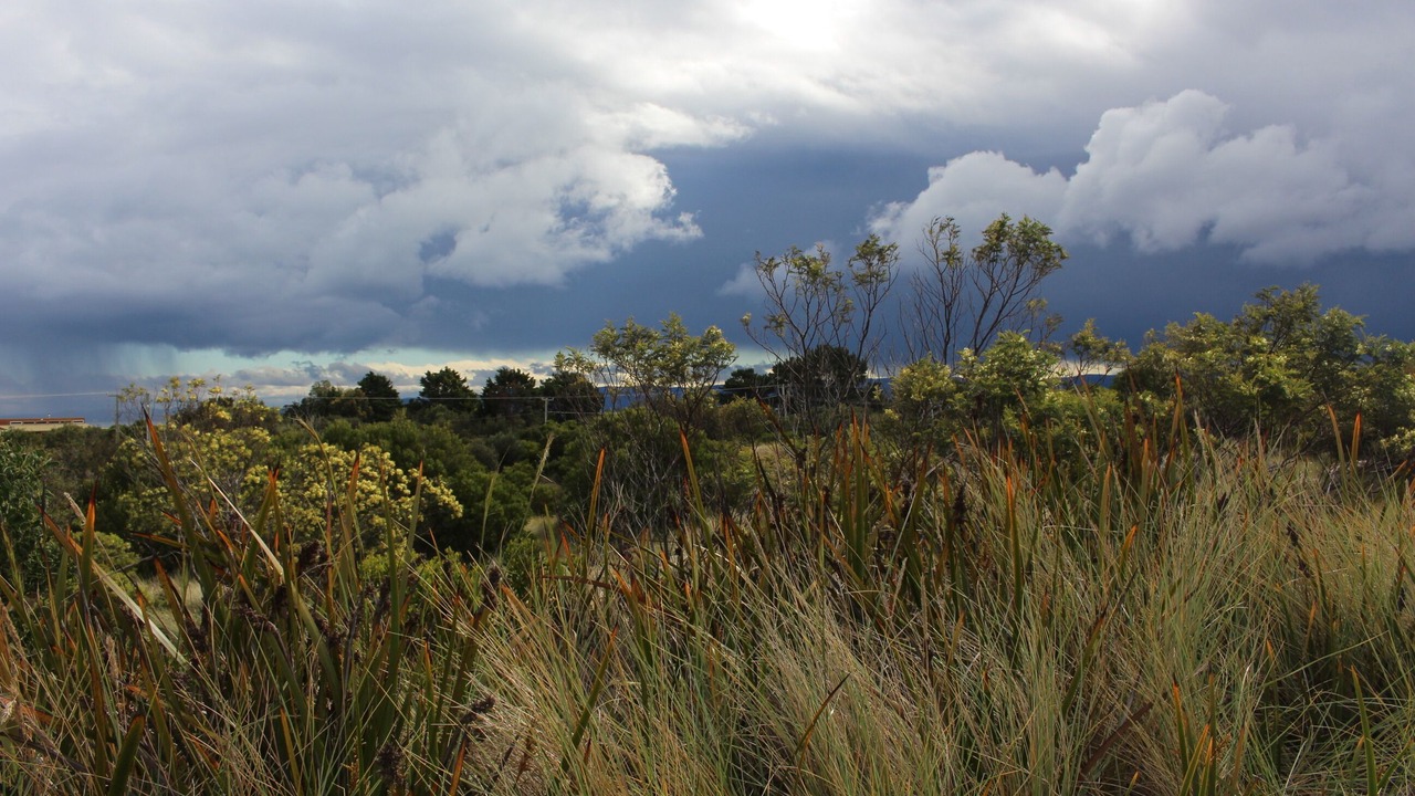 Photo of Outdoor in Dolphin Sands