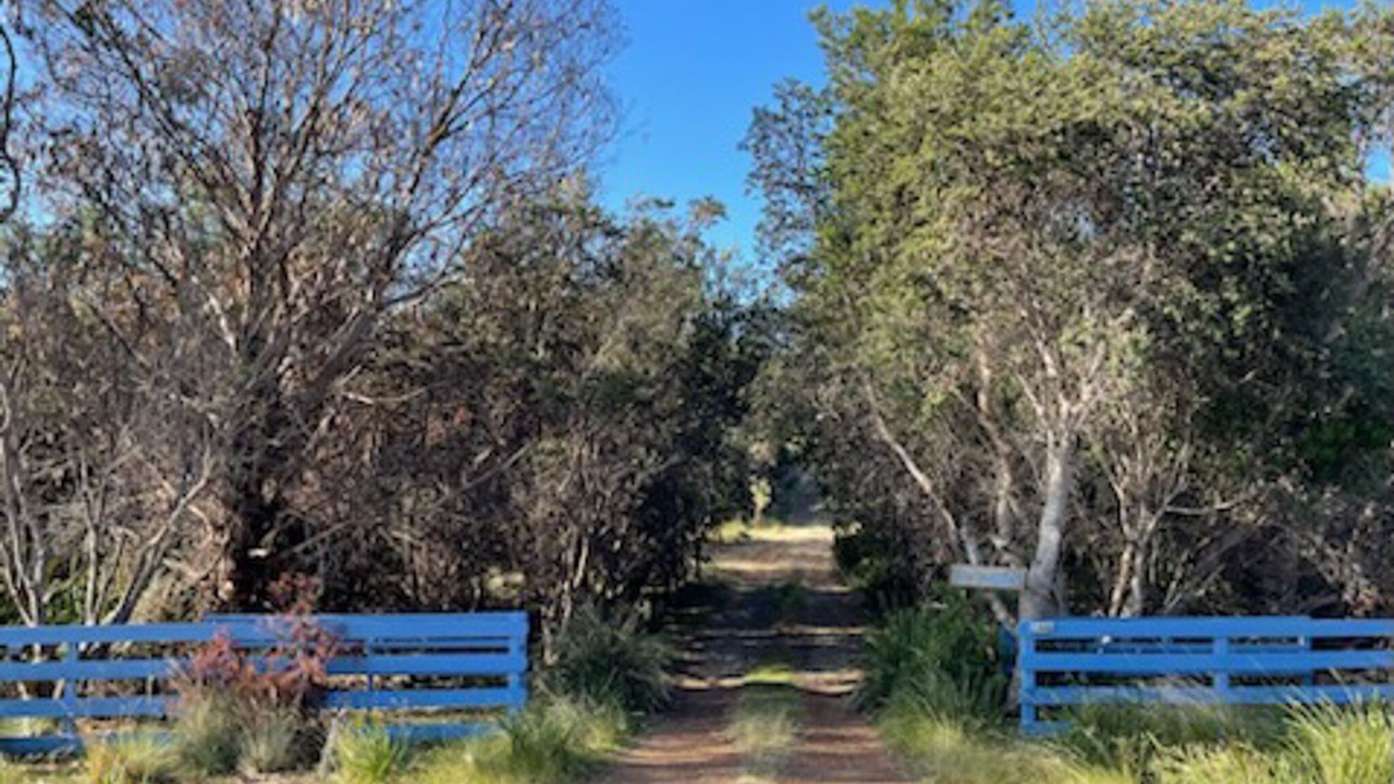 Photo of Outdoor in Dolphin Sands