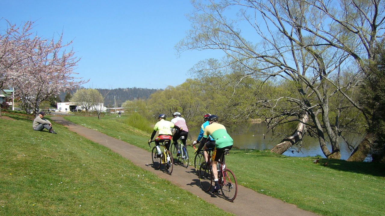 Photo of Others in Deloraine