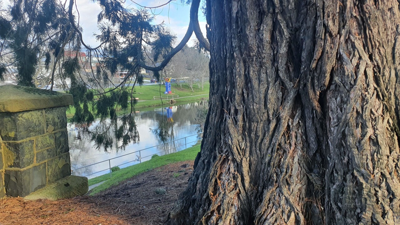 Photo of Others in Deloraine