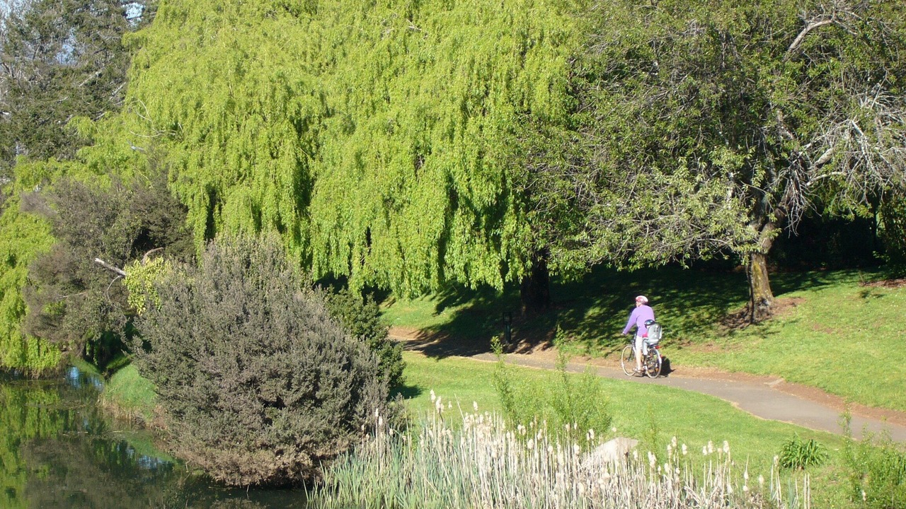 Photo of Others in Deloraine