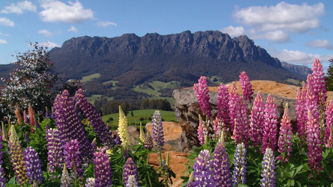 Photo of Outdoor in Promised Land