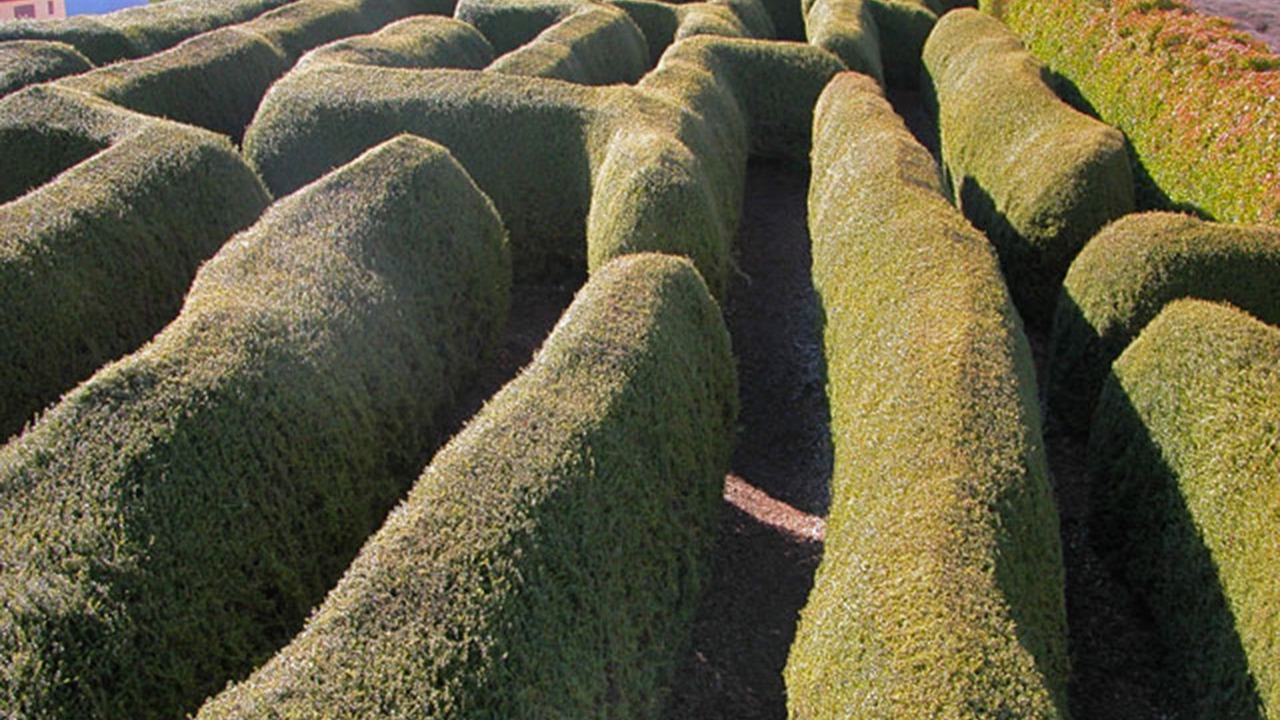 Photo of Others in Promised Land