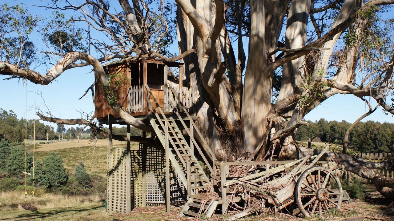 Photo of Outdoor in Promised Land
