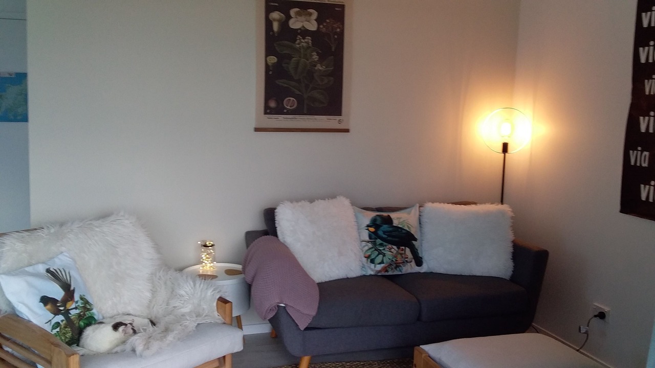 Photo of Livingroom in Oneroa
