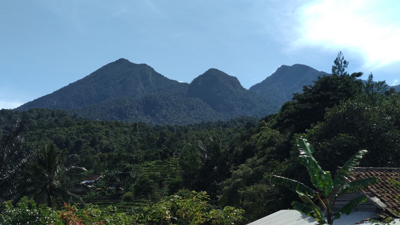 Photo of Outdoor in Pamijahan