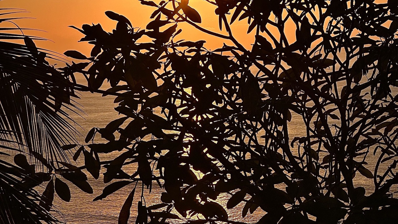 Photo of Outdoor in Montezuma