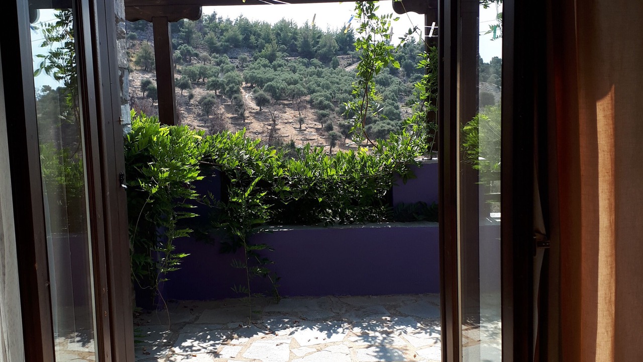Photo of Others in Thasos