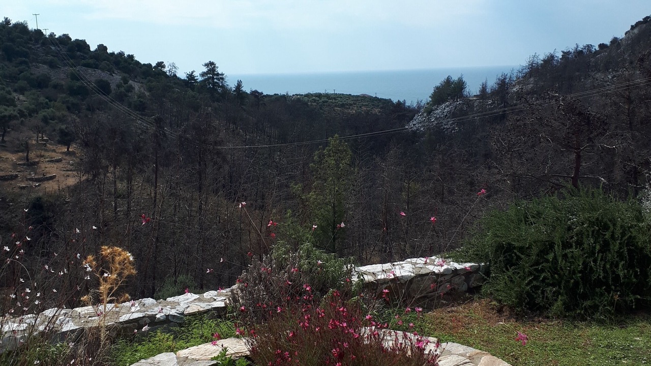 Photo of Outdoor in Thasos